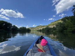 Mainschwimmen Juni 2026